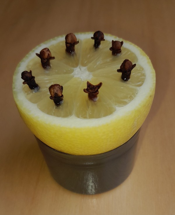 mosquitoes_lemon_cloves