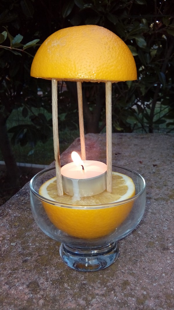 mosquitoes_orange
